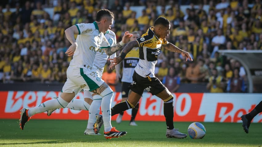 Palmeiras espera encostar nos líderes se vencer o Criciúma no jogo de hoje (Foto: Leonardo Hubbe/AGIF)