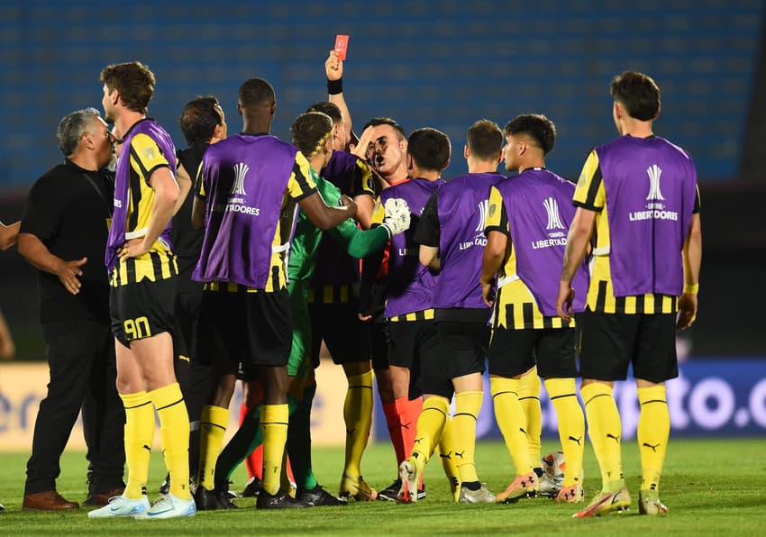 Botafogo passou pelo Peñarol na semifinal da Libertadores de 2024 (Foto: Dante Fernández / AFP)