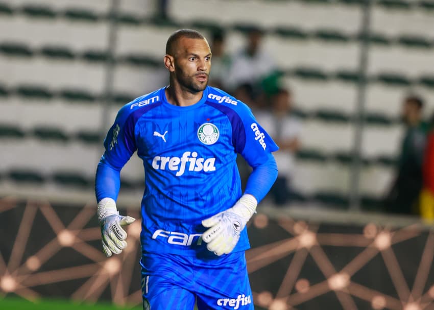 Weverton, jogador do Palmeiras, durante aquecimento antes da partida contra o Juventude, no Alfredo Jaconi, pela 30ª rodada do Brasileirão (Foto: Luiz Erbes/AGIF)