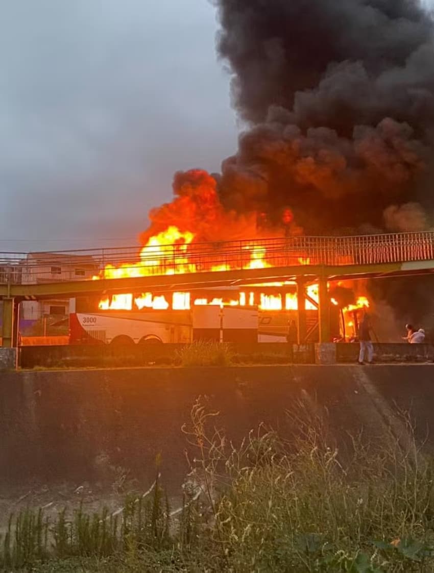 Briga Cruzeiro x Palmeiras