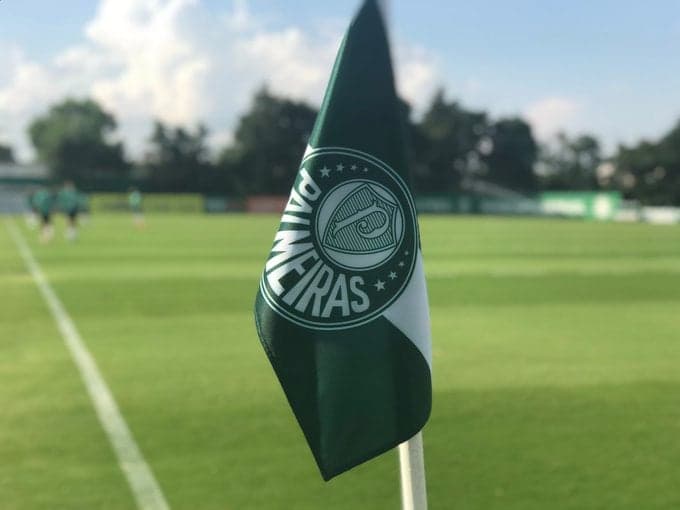 bandeirinha Palmeiras
