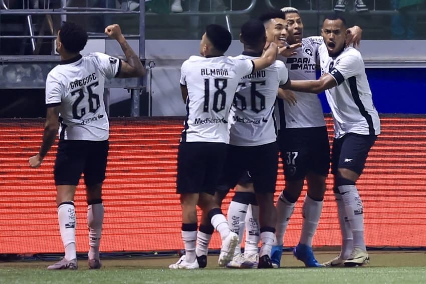 O Botafogo visita o Palmeiras pelo Campeonato Brasileiro (Foto: Marcello Zambrana/AGIF)