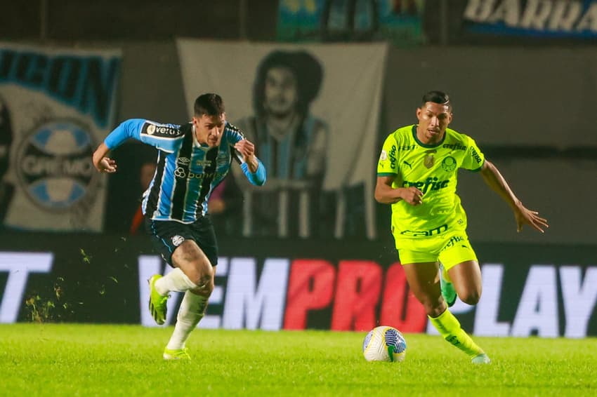 Palmeiras e Grêmio se enfrentam pelo Brasileirão; confira as informações do jogo de hoje (Foto: Luiz Erbes/AGIF)