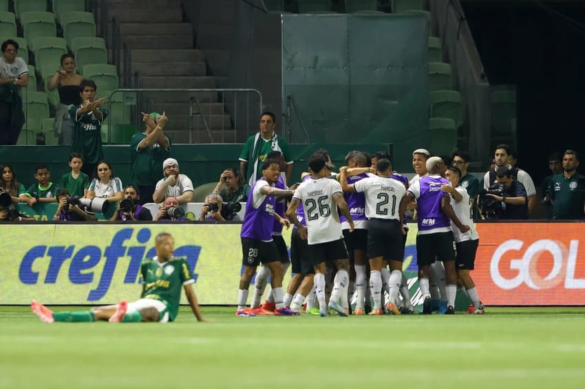 Botafogo vence Palmeiras fora de casa e reassume liderança do Brasileirão  (Foto: Joisel Amaral/AGIF)