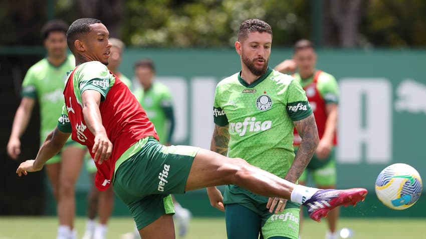 Palmeiras treino