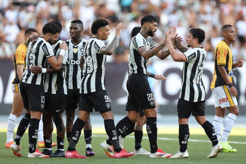 Botafogo comemora gol contra Novorizontino