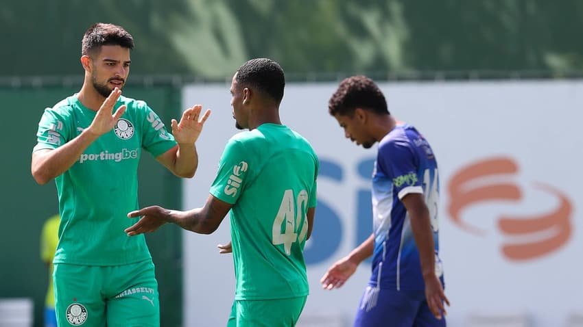 palmeiras jogo treino