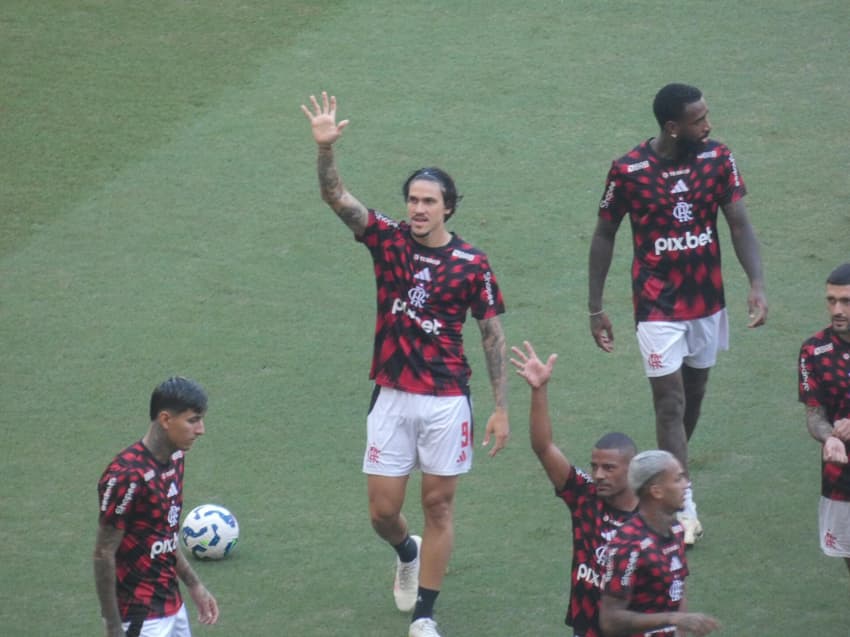 Pedro Flamengo
