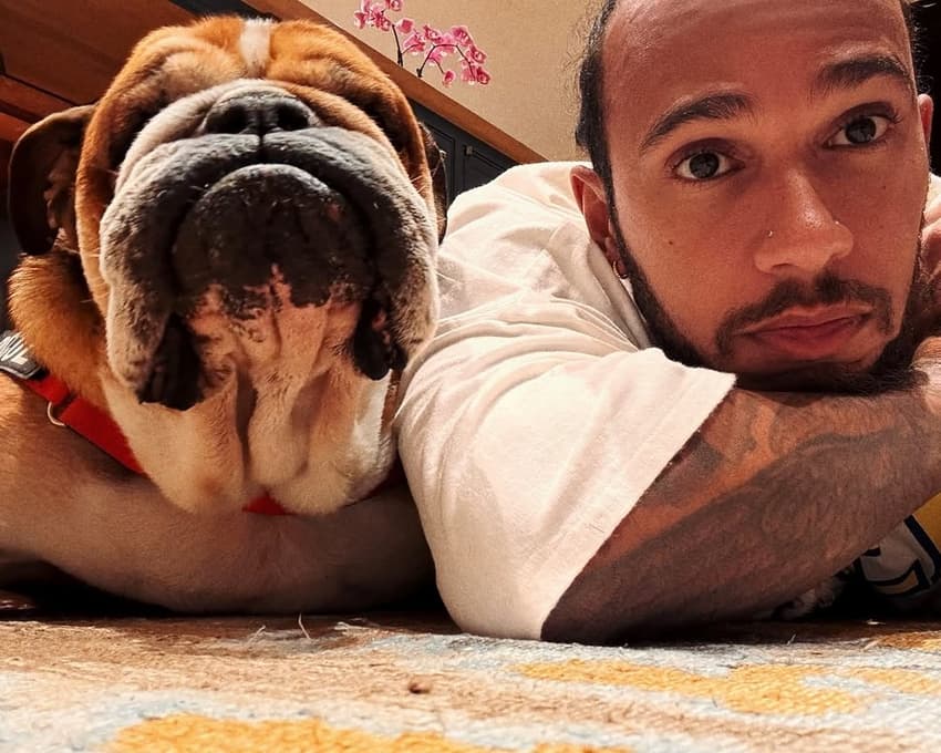 Lewis Hamilton e Roscoe (Foto: Reprodução/Instagram)