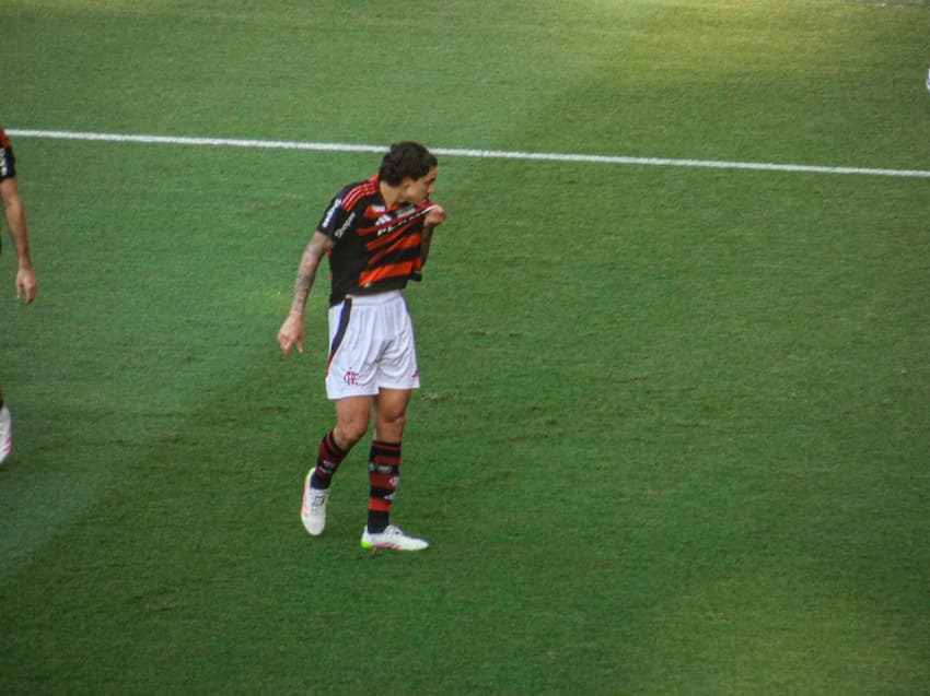 Pedro comemora gol do Flamengo contra o Corinthians (Foto: Lucas Bayer/Lance!)