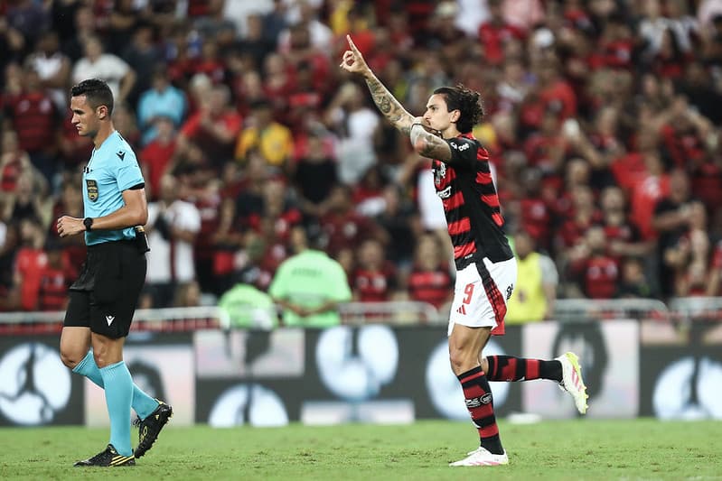 flamengo pedro