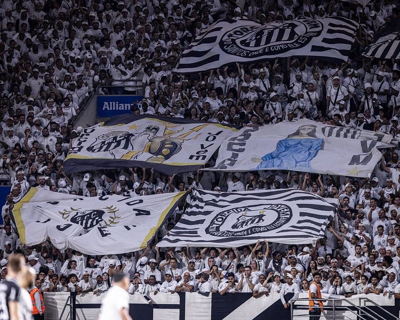 Torcida do Santos comparece ao Allianz Parque no primeiro jogo como mandante na capital paulista nesta temporada. (Foto: Raul Baretta/ Santos FC)