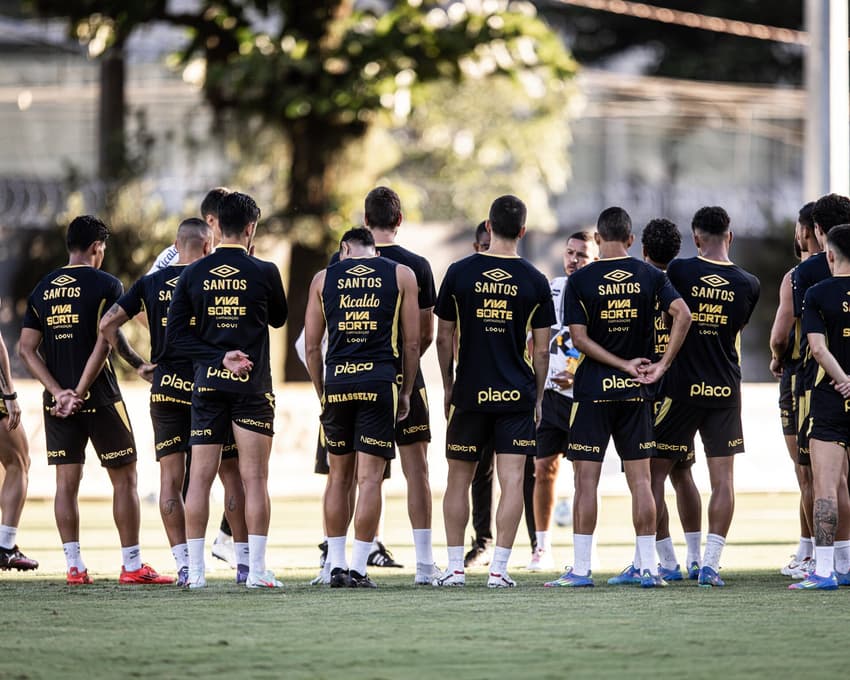 Santos tenta escapar das últimas colocação do Brasileirão 2025 (Foto: Raul Baretta/ Santos FC)