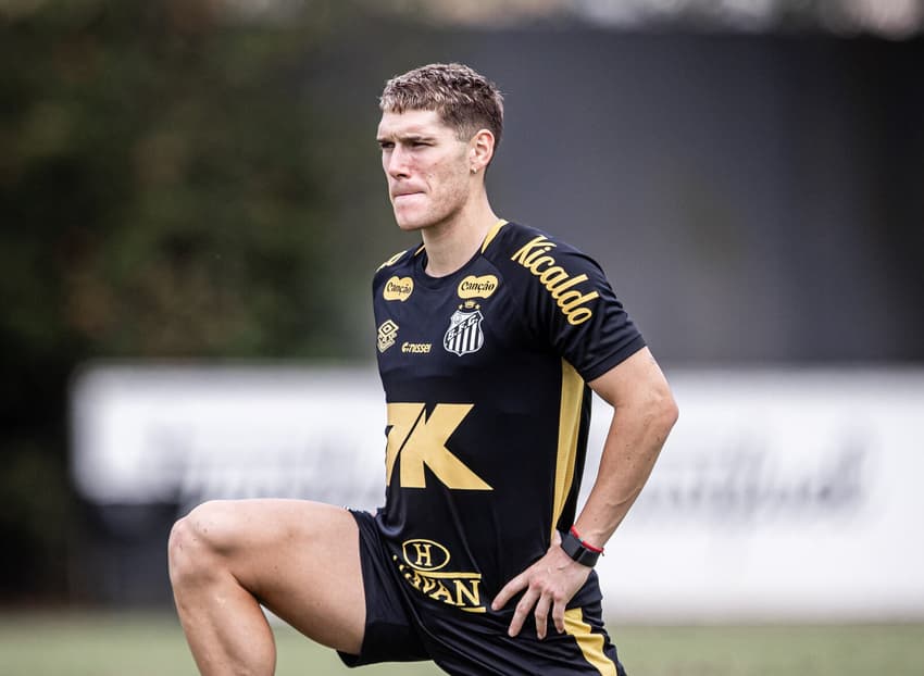Rollheiser deve ser titular no Santos (Foto: Raul Baretta/ Santos FC)