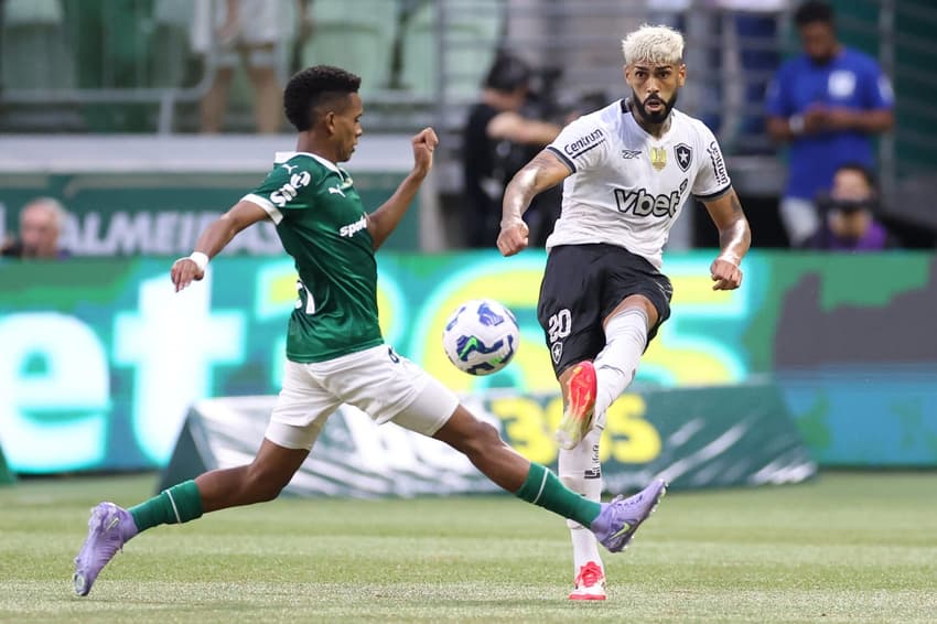 Estêvão e Alexander Barboza no último Palmeiras x Botafogo (Foto: Vítor Silva/Botafogo)