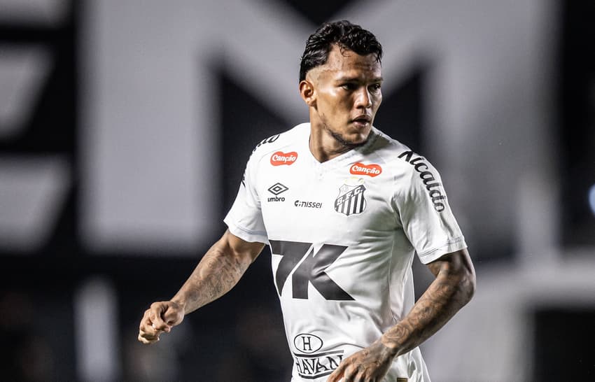 Gabriel Veron (Foto: Divulgação/ Santos)