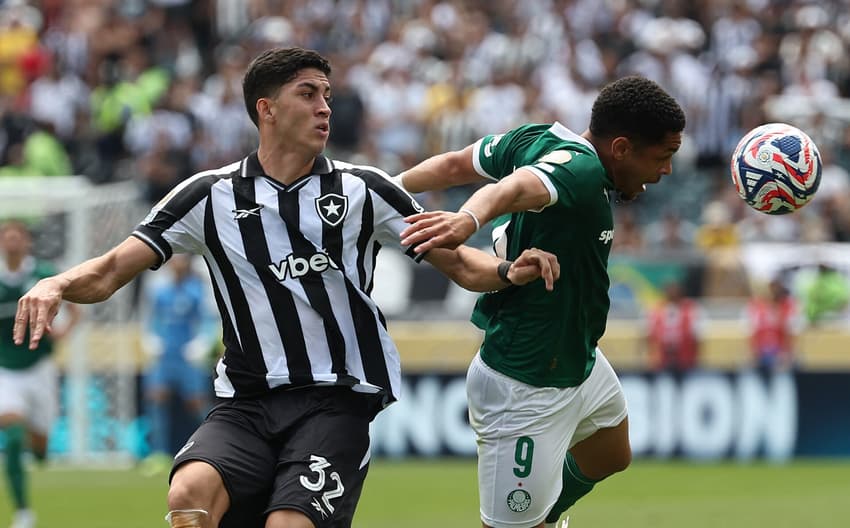 Palmeiras Botafogo