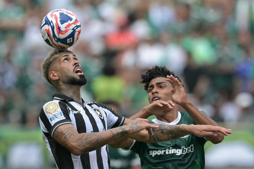 Alexander Barboza em ação pelo Botafogo na derrota para o Palmeiras (Foto: Juan Mabromata/AFP)