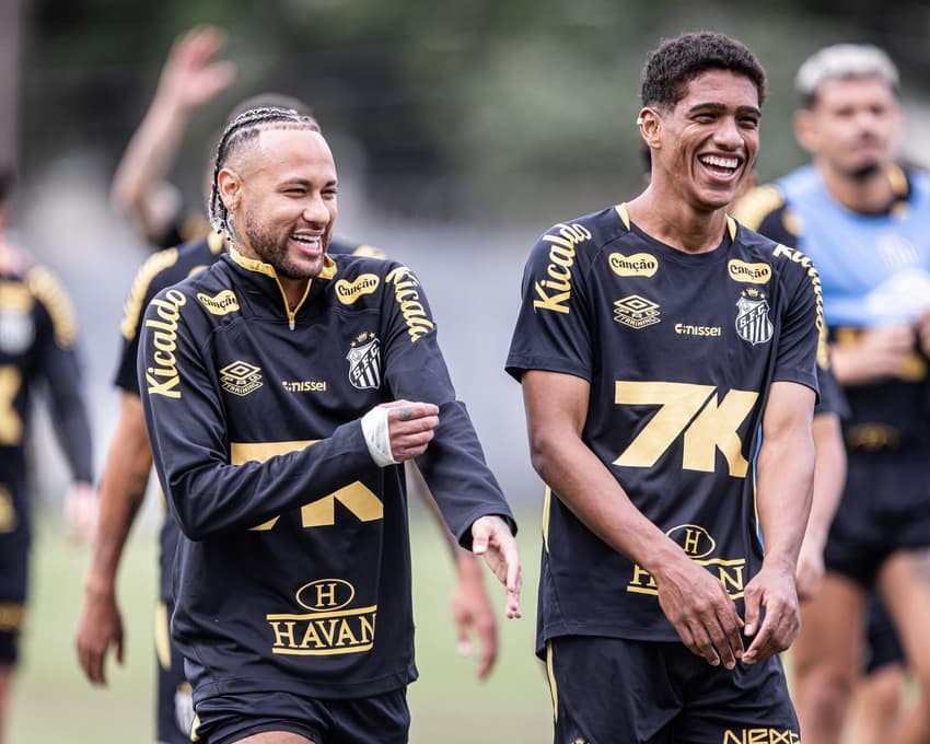 Santos vai enfrentar o Flamengo na Vila (Foto: Raul Baretta/ Santos FC)