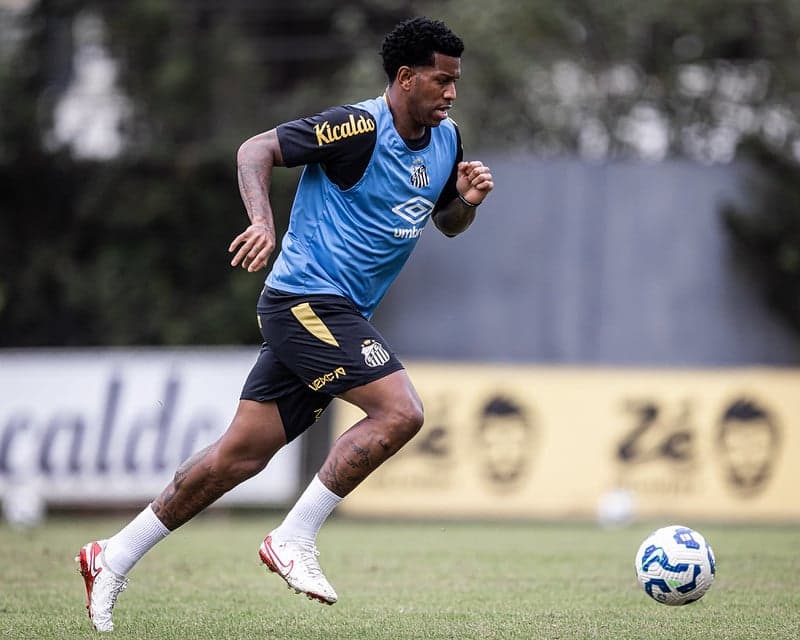 Elenco do Santos realiza intertemporada no CT Rei Pelé antes de retomada no Campeonato Brasileiro. (Foto: Raul Baretta/ Santos FC)