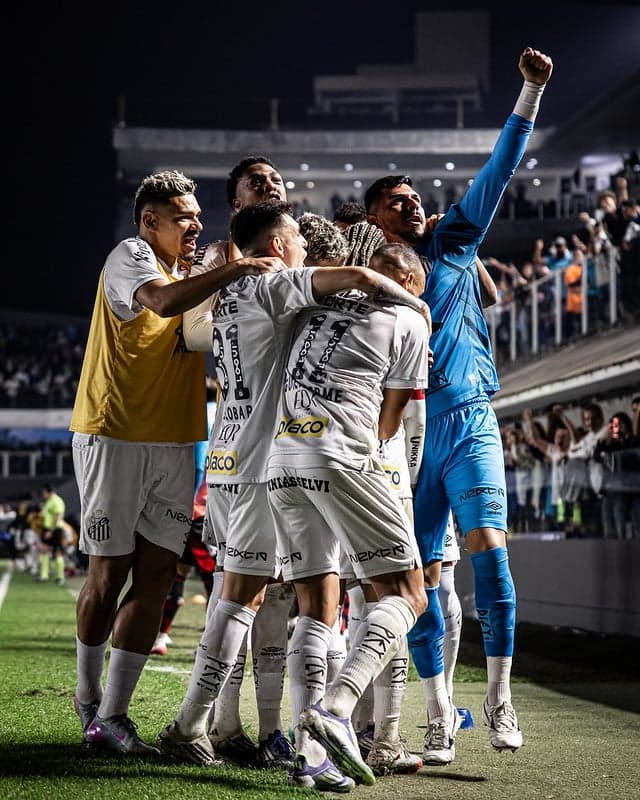 Santos está na zona do rebaixamento do Campeonato Brasileiro. (Foto: Raul Baretta/ Santos FC)