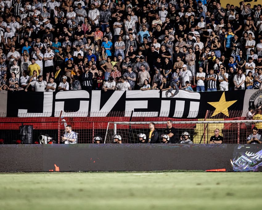 Torcida Jovem do Santos (Foto: Raul Baretta/ Santos FC)