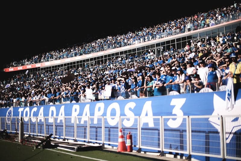 Torcida do Cruzeiro no Mineirão (Foto: Gustavo Martins/Cruzeiro)