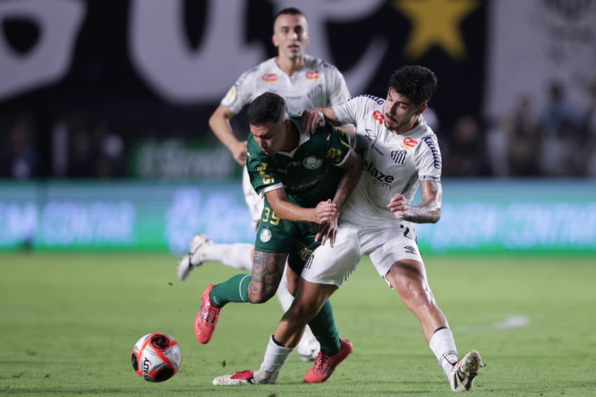 Com o adiamento do clássico, Santos retoma o Brasileirão diante do Flamengo, na próxima quarta-feira (16). (Foto: Ettore Chiereguini/AGIF)