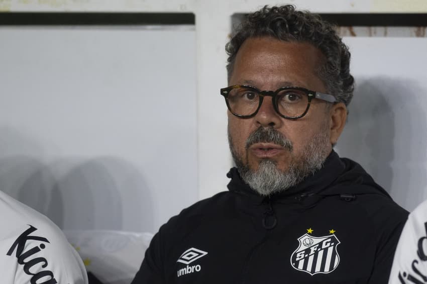 Cleber Xavier, técnico do Santos (Foto: Anderson Romao/AGIF)