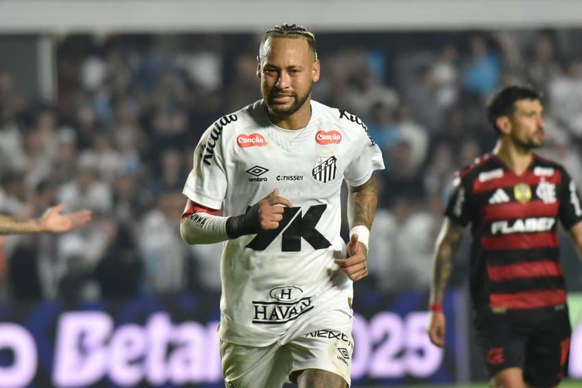 Neymar marcou o gol da vitória do Santos diante do Flamengo, na Vila Belmiro. (Foto: Jota Erre/AGIF)