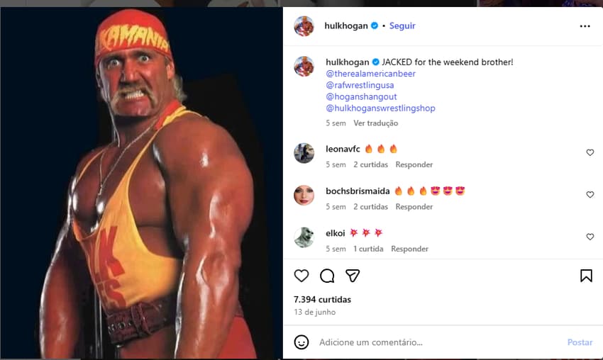 Hulk Hogan (reprodução redes sociais)