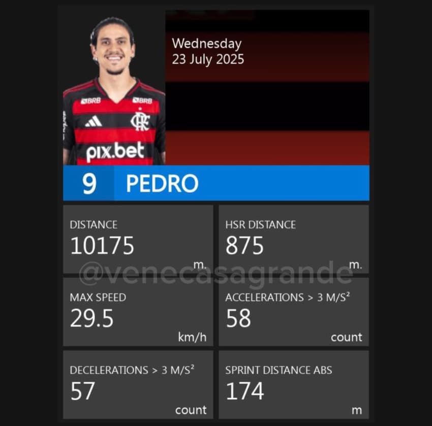 Pedro dados GPS Flamengo