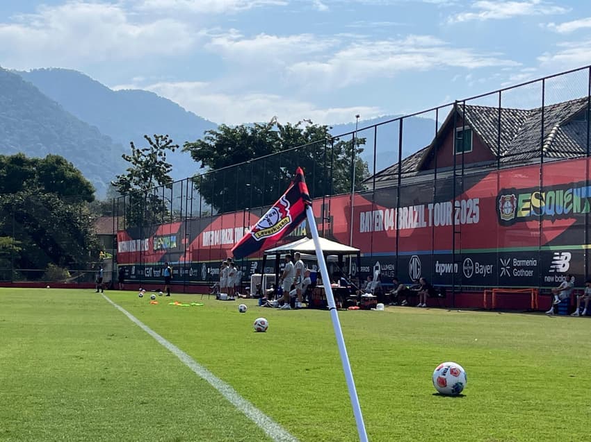 bandeira bayer leverkusen