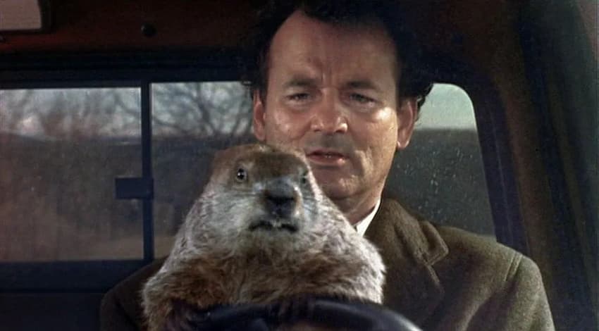 Bill Murray em Feitiço do Tempo