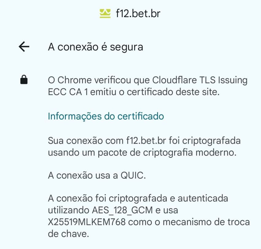 Captura de tela do protocolo HTTPS certificando
