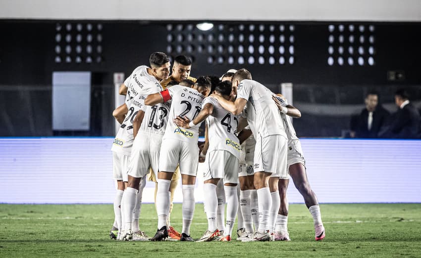 Santos passa por mudanças no elenco (Foto: Raul Baretta/ Santos FC)