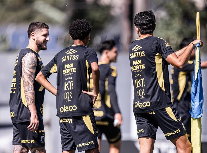 Santos busca voltar a vencer no Brasileirão (Foto: Raul Baretta/ Santos FC)