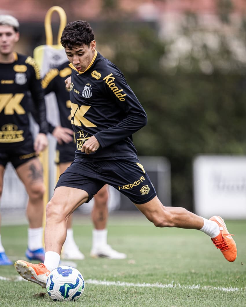 Gabriel Bontempo foi o autor de um dos gols do Santos no empate diante do Sport, na Ilha do Retiro. (Foto: Raul Baretta/ Santos FC)