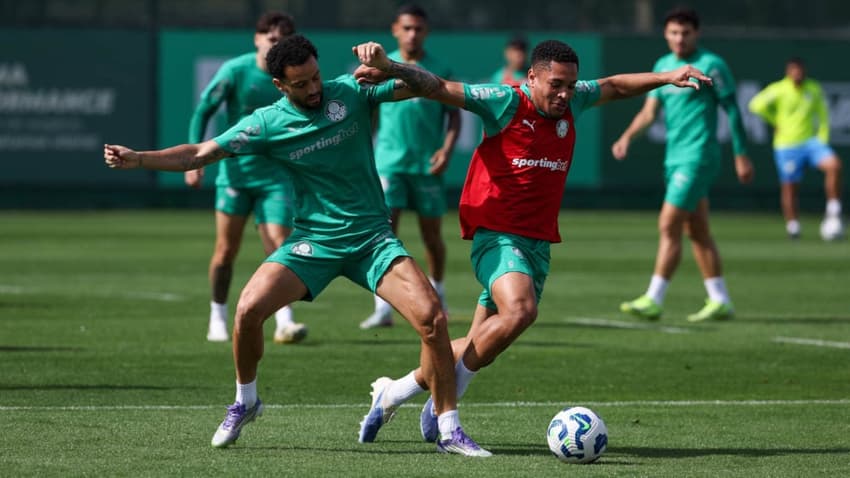 O Palmeiras é o terceiro colocado do Brasileirão com 32 pontos. (Foto: Cesar Greco/ Palmeiras)