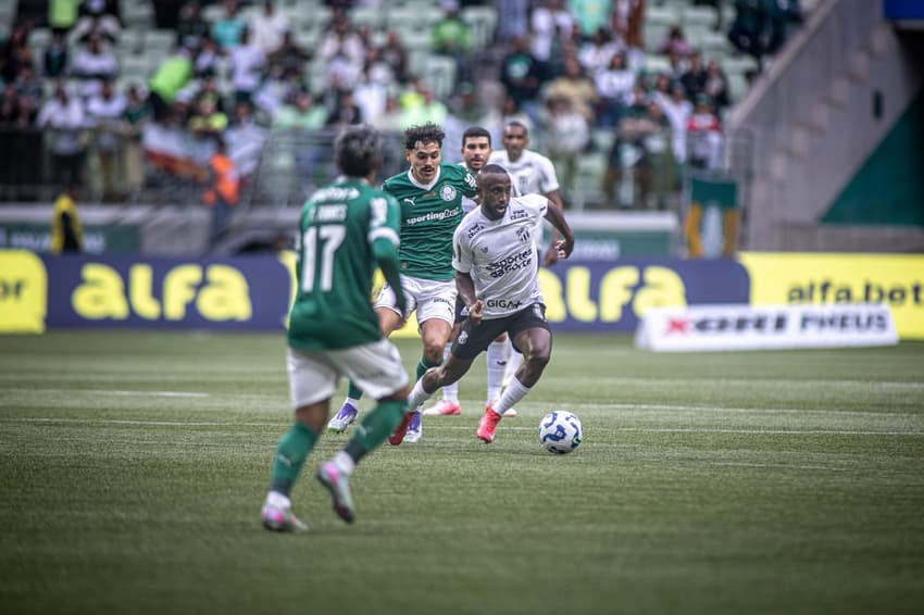 Partida entre Palmeiras e Ceará, pelo Brasileirão (Foto: Felipe Santos/Ceará SC)