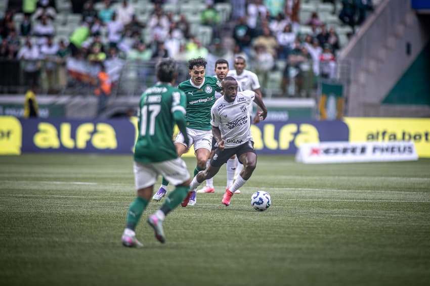 Partida entre Palmeiras e Ceará, pelo Brasileirão (Foto: Felipe Santos/Ceará SC)