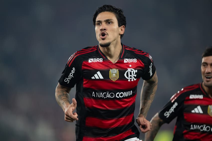 Pedro Flamengo Vitória