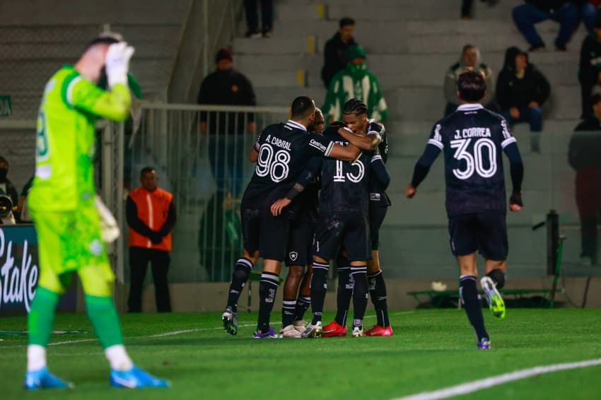 Botafogo vem de vitória no Brasileirão sobre o Juventude (Foto: Luiz Erbes/AGIF)