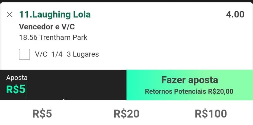 Captura de tela do Cupom de Aposta com um palpite de Vencedor em corrida de cavalos na Bet365.