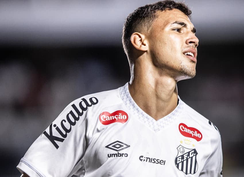 Deivid Washington deixou o Santos (Foto: Raul Baretta/ Santos FC)