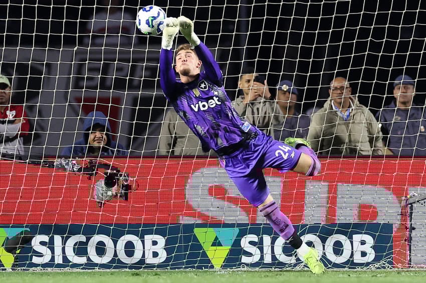 Léo Linck goleiro Botafogo