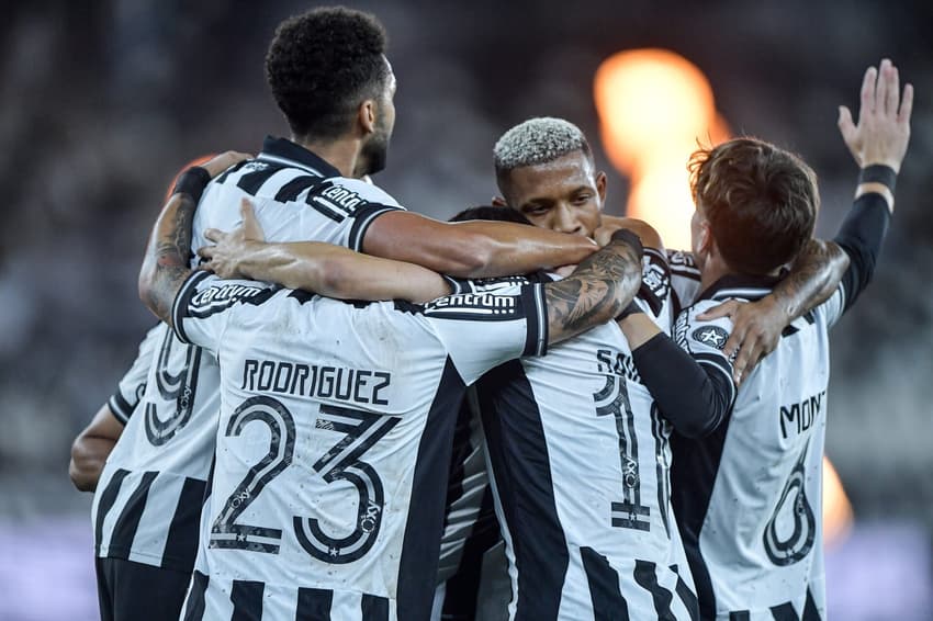Botafogo comemora gol contra o Mirassol (Foto: Thiago Ribeiro/AGIF)