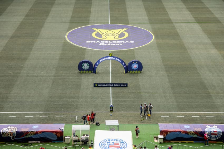 Gramado da Arena Fonte Nova antes de Bahia x Palmeiras (Foto: Marcio Jose/AGIF)