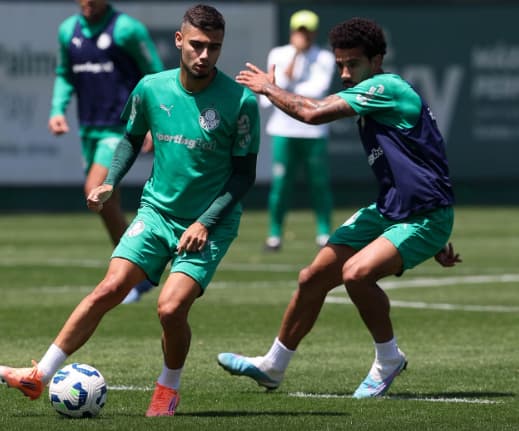 (Foto: Cesar Greco/Palmeiras/by Canon)