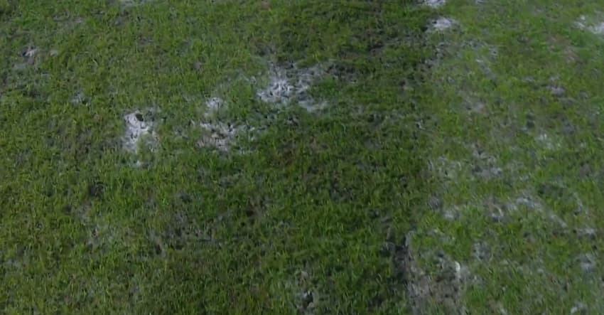 Gramado do estádio Anônio Carneiro no jogo entre Bahia e Atlético-MG pelas oitavas da Copa do Brasil Feminina (Foto: Reprodução/Sportv)